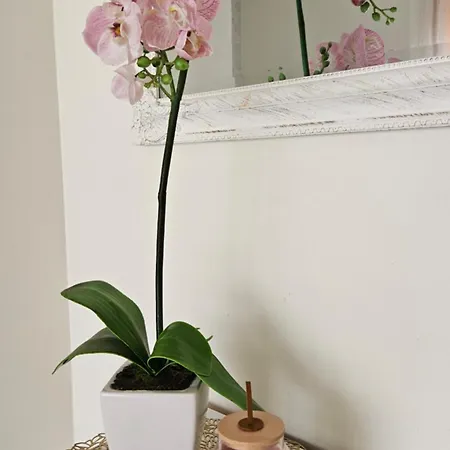 Apartmán Unique & Spacious 2 Bedroom With Sauna *